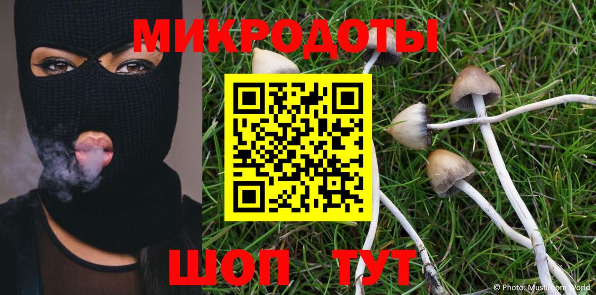 Псилоцибиновые грибы мицелий Курчалой